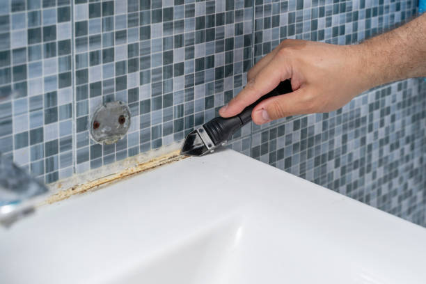 Best Commercial Mold Remediation in Bath, PA